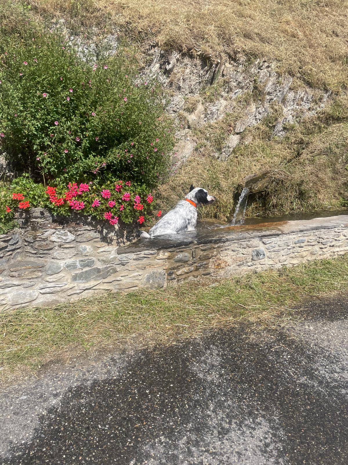 Paysage autour de Saligos